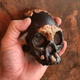 This view of the reconstructed skull, held by a human hand, provides a sense of scale.